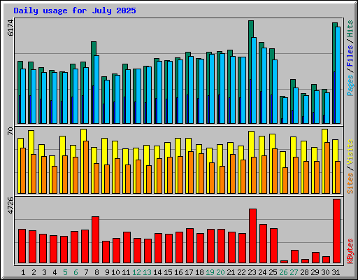 Daily usage for July 2025